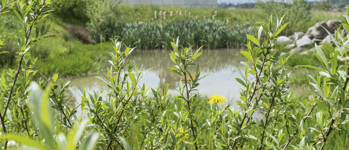 Benerz Zirkularitaet Hero 03