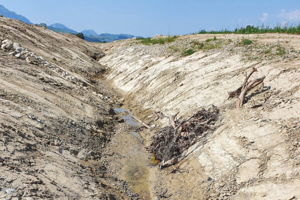 Benerz Deponie Neubueel Oekologische Aufwertung 03