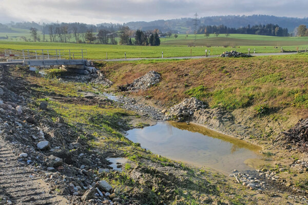 Benerz Deponie Neubueel Oekologische Aufwertung 04