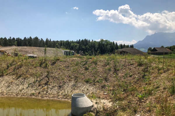 Benerz Deponie Neubueel Oekologische Aufwertung 05