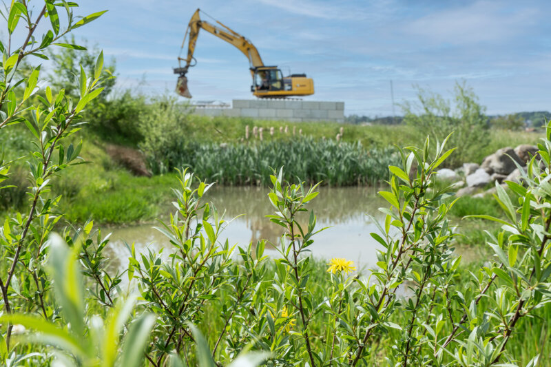 Benerz Deponie Neubueel Oekologische Aufwertung Intro