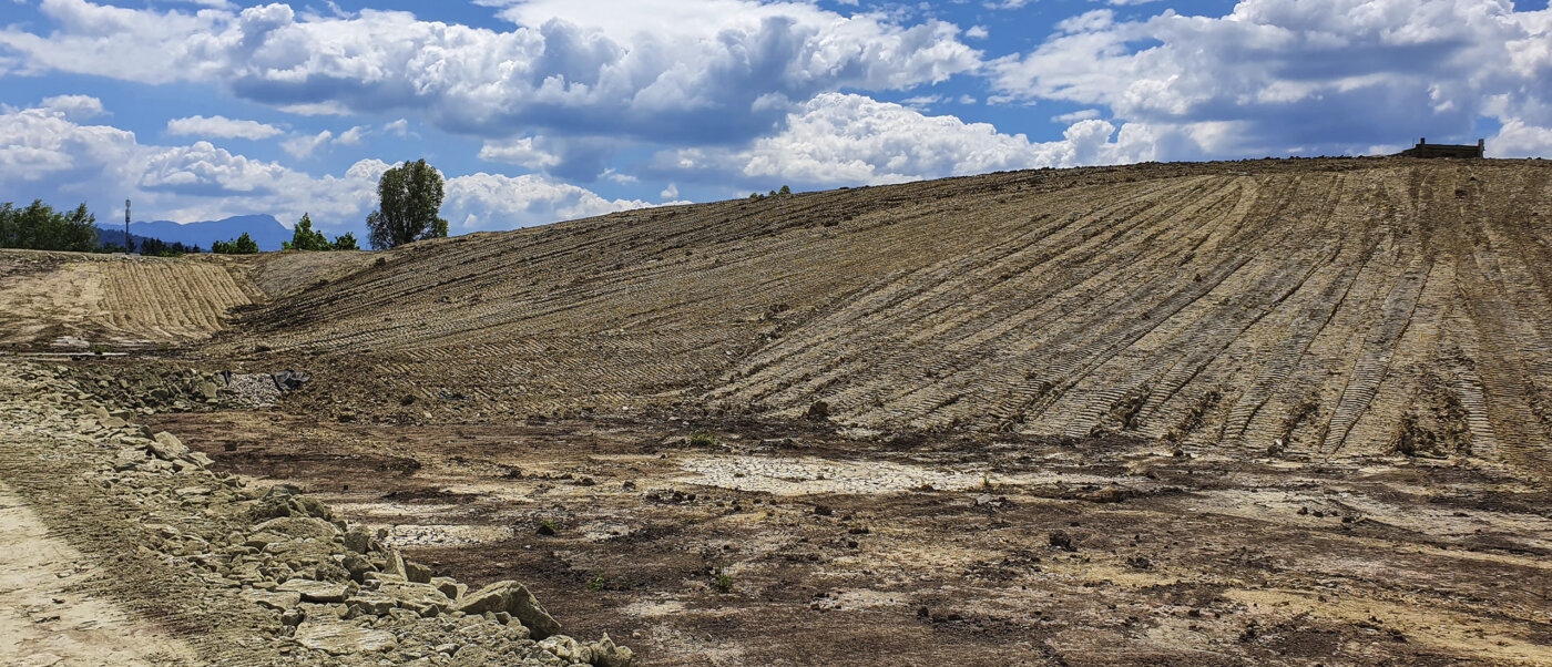 Benerz Waldibruecke Hero Mobile 03