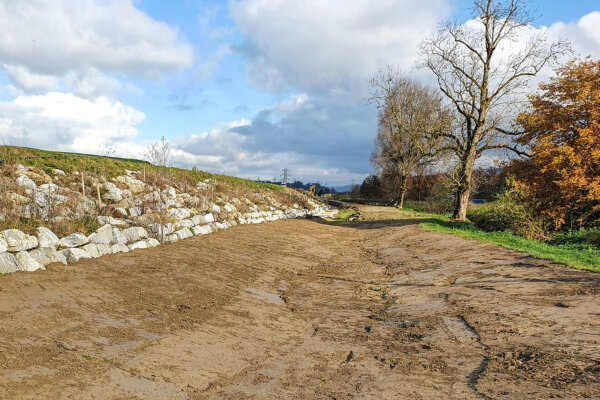 Benerz Waldibruecke Oekologischer Ausgleich 01