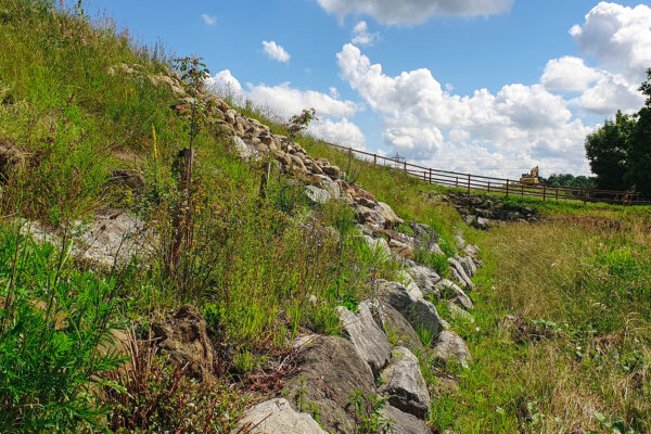 Benerz Waldibruecke Oekologischer Ausgleich Intro